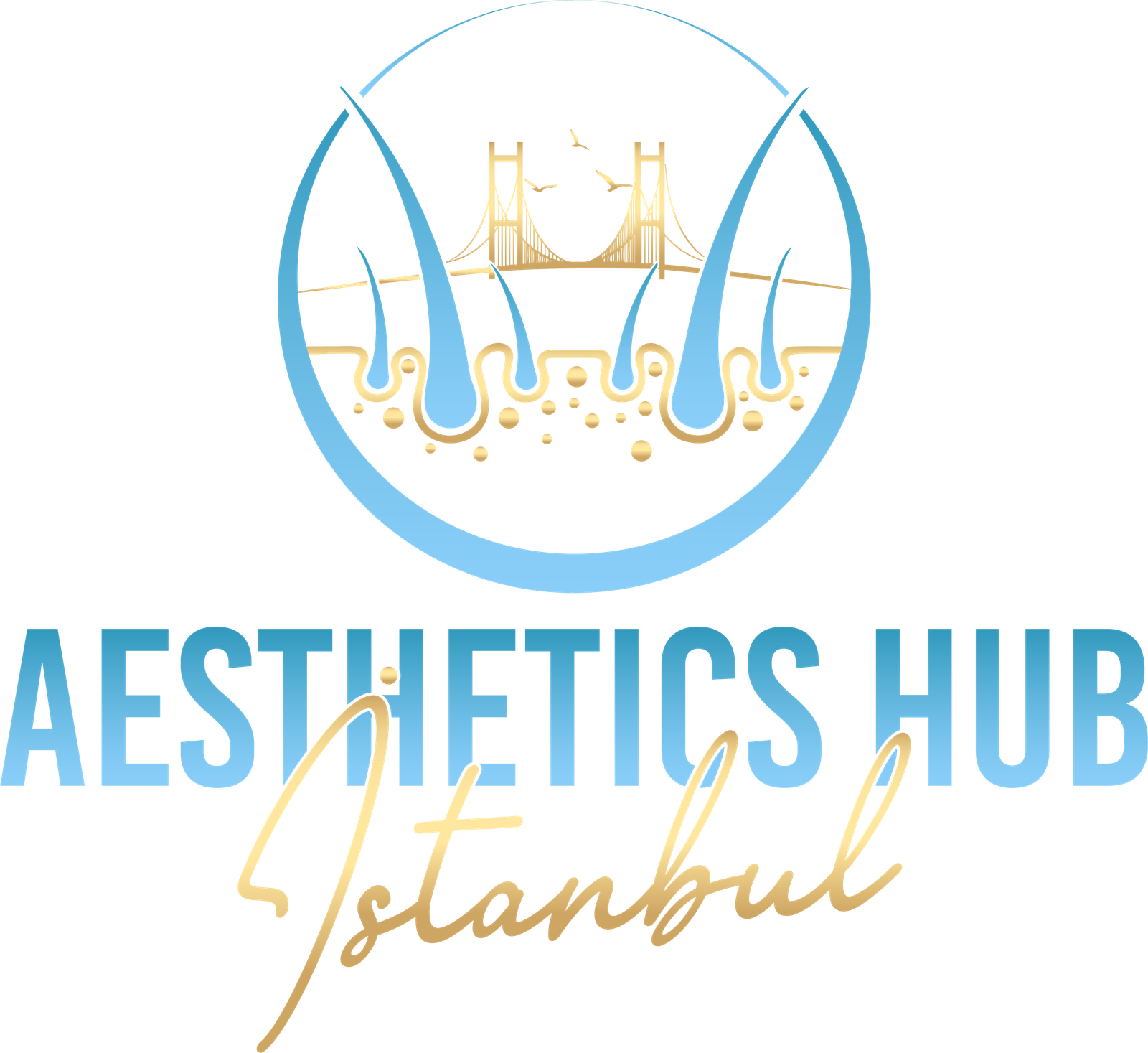 istanbul aesthetics hub